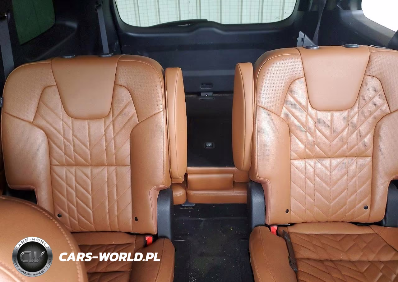 2024 Kia Telluride Sx X-Line VIN:5XYP5DGC0RG546361 - 10