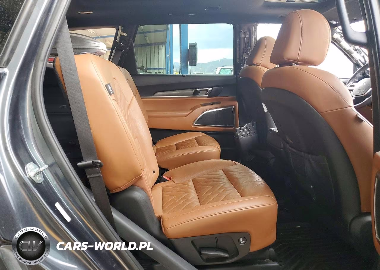 2024 Kia Telluride Sx X-Line VIN:5XYP5DGC0RG546361 - 11