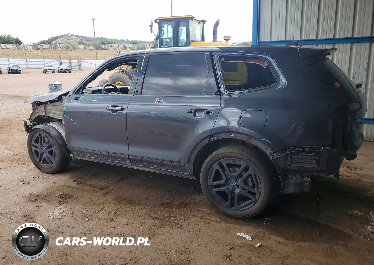 2024 Kia Telluride Sx X-Line VIN:5XYP5DGC0RG546361 - 2