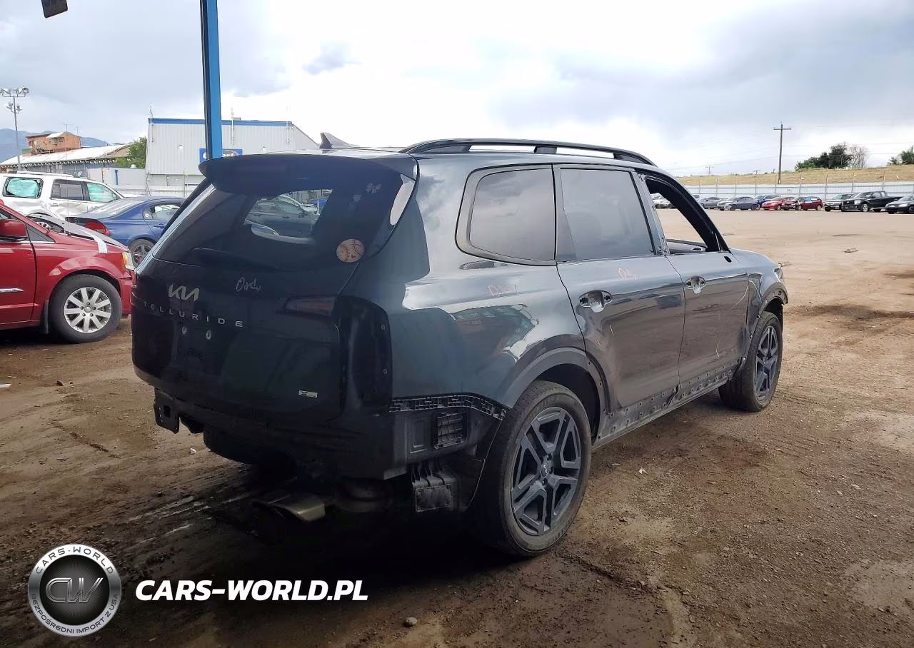 2024 Kia Telluride Sx X-Line VIN:5XYP5DGC0RG546361 - 3