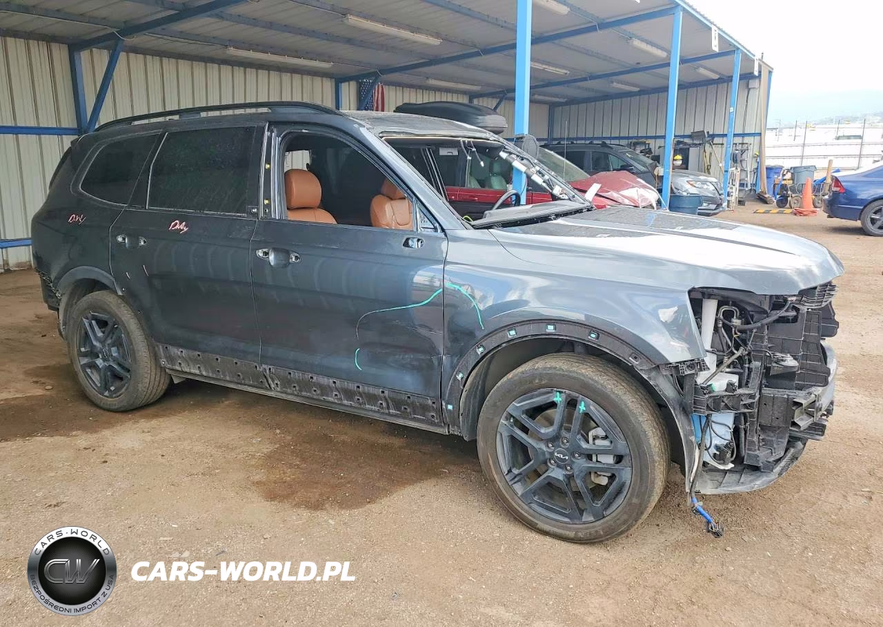 2024 Kia Telluride Sx X-Line VIN:5XYP5DGC0RG546361 - 4