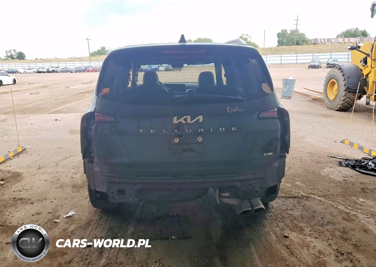 2024 Kia Telluride Sx X-Line VIN:5XYP5DGC0RG546361 - 6