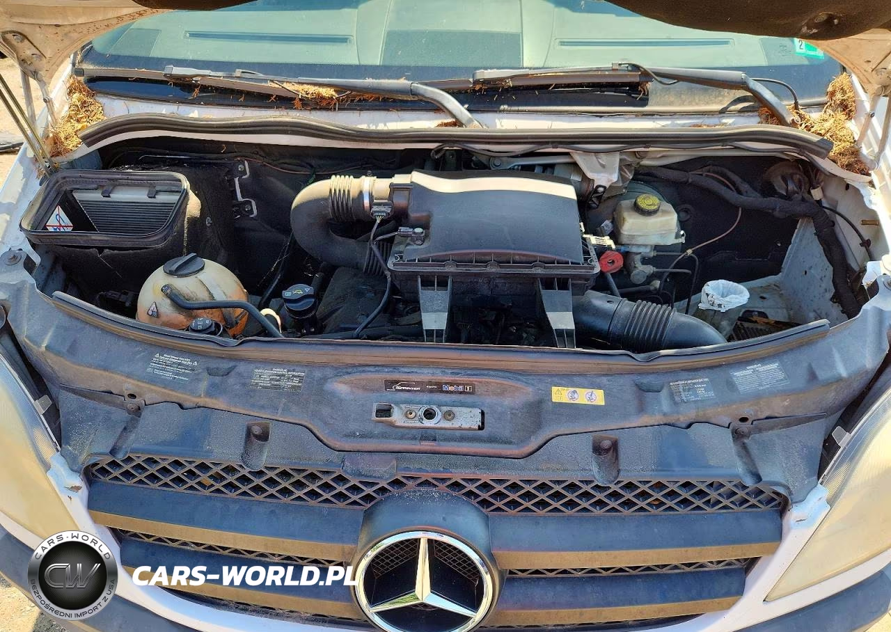 2012 Mercedes-Benz Sprinter 2500 VIN:WD3PE7CC7C5622286 - 12
