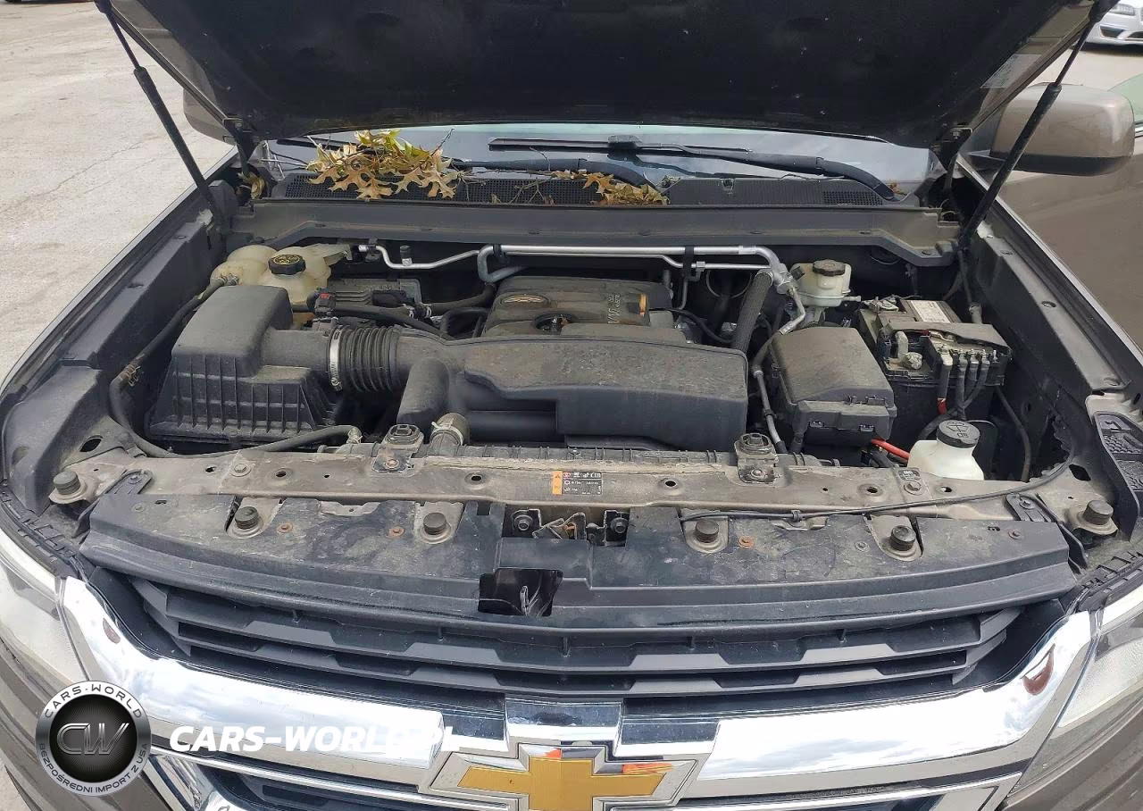 2015 Chevrolet Colorado Lt VIN:1GCGSBEA0F1196885 - 11