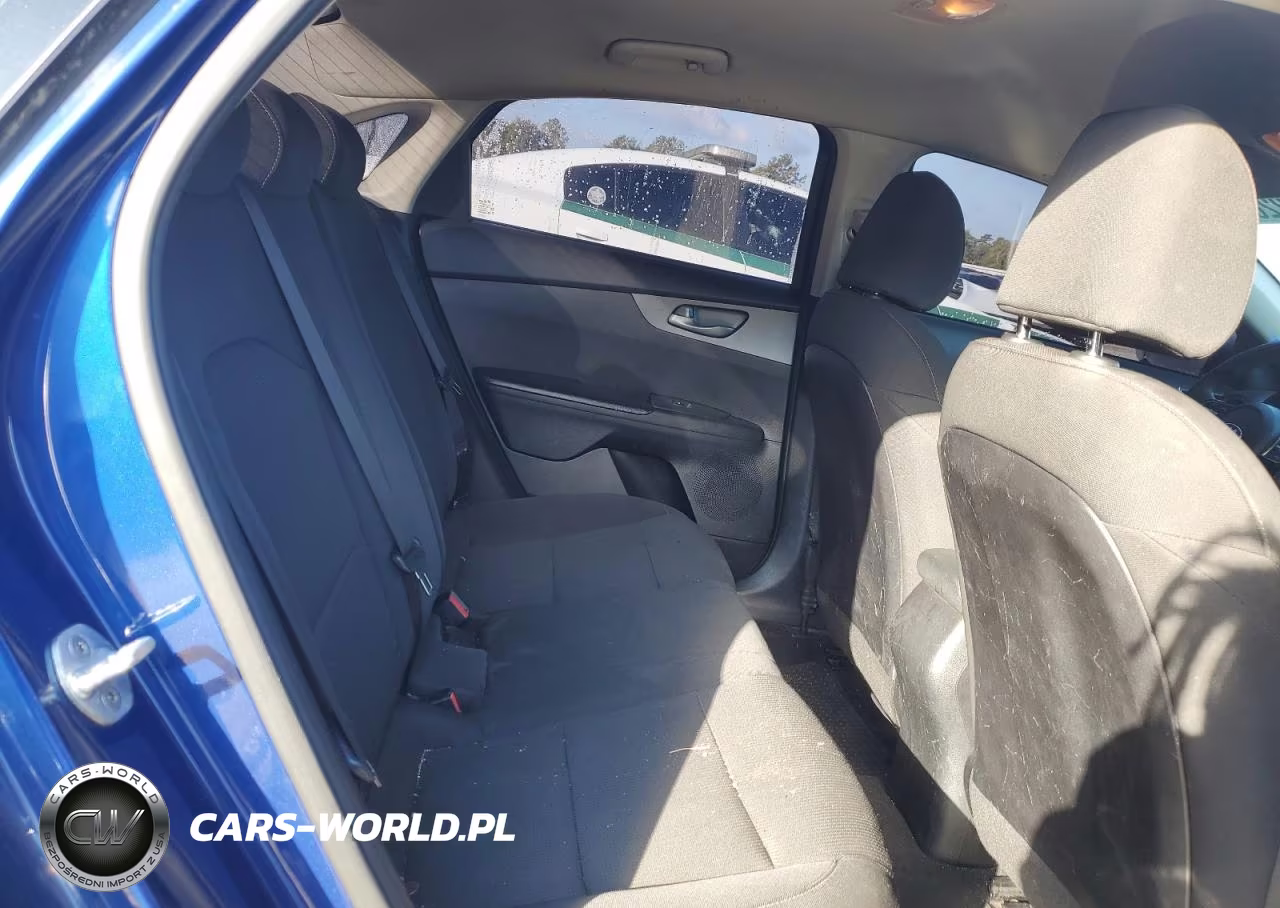 2019 Kia Forte Fe VIN:3KPF24AD7KE037912 - 10
