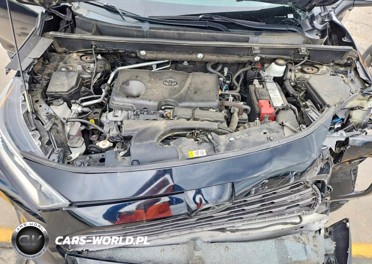 2019 Toyota Rav4 Limited VIN:2T3N1RFV0KW082854 - 12