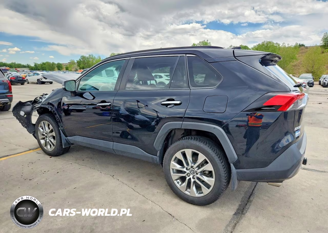 2019 Toyota Rav4 Limited VIN:2T3N1RFV0KW082854 - 2