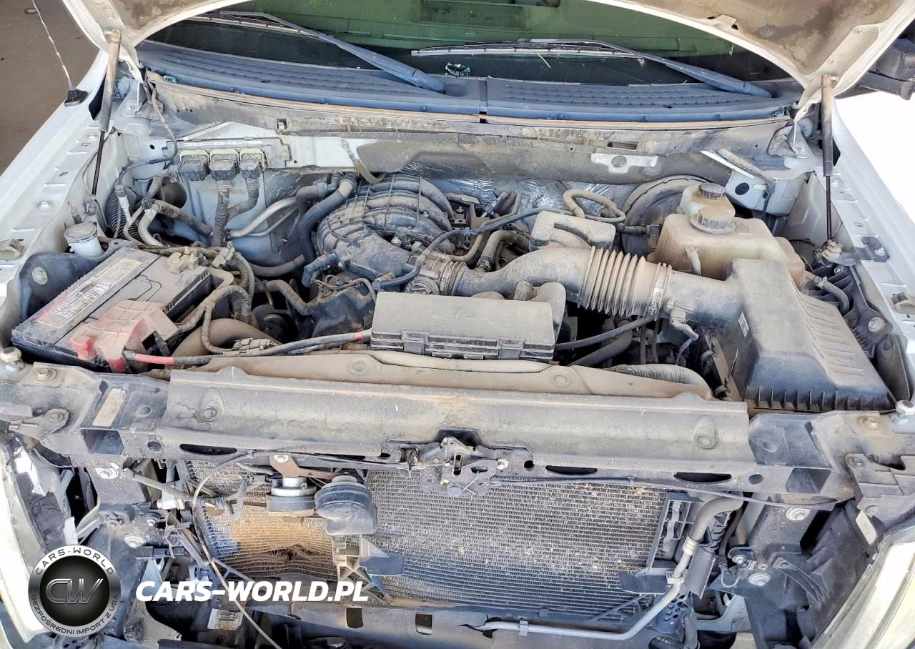 2013 Ford F150 VIN:1FTMF1CM0DKE35342 - 11