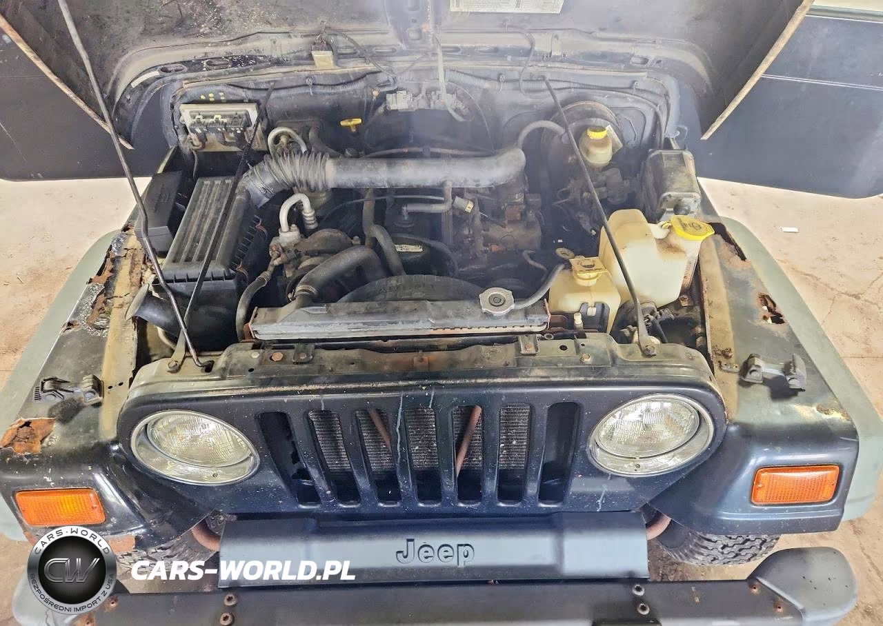 1999 Jeep Wrangler - Tj Sport VIN:1J4FY19S0XP471865 - 11