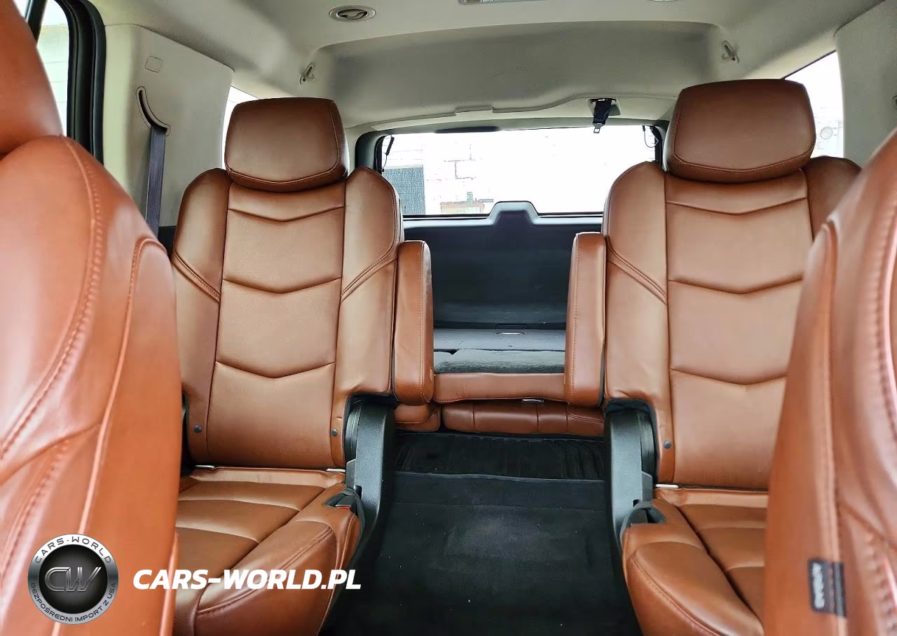 2015 Cadillac Escalade Luxury VIN:1GYS4MKJ5FR553509 - 10