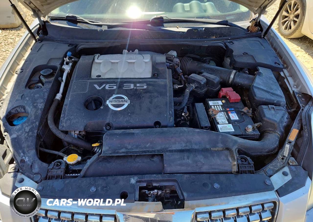 2004 Nissan Maxima 3.5 Se VIN:1N4BA41E04C848378 - 11