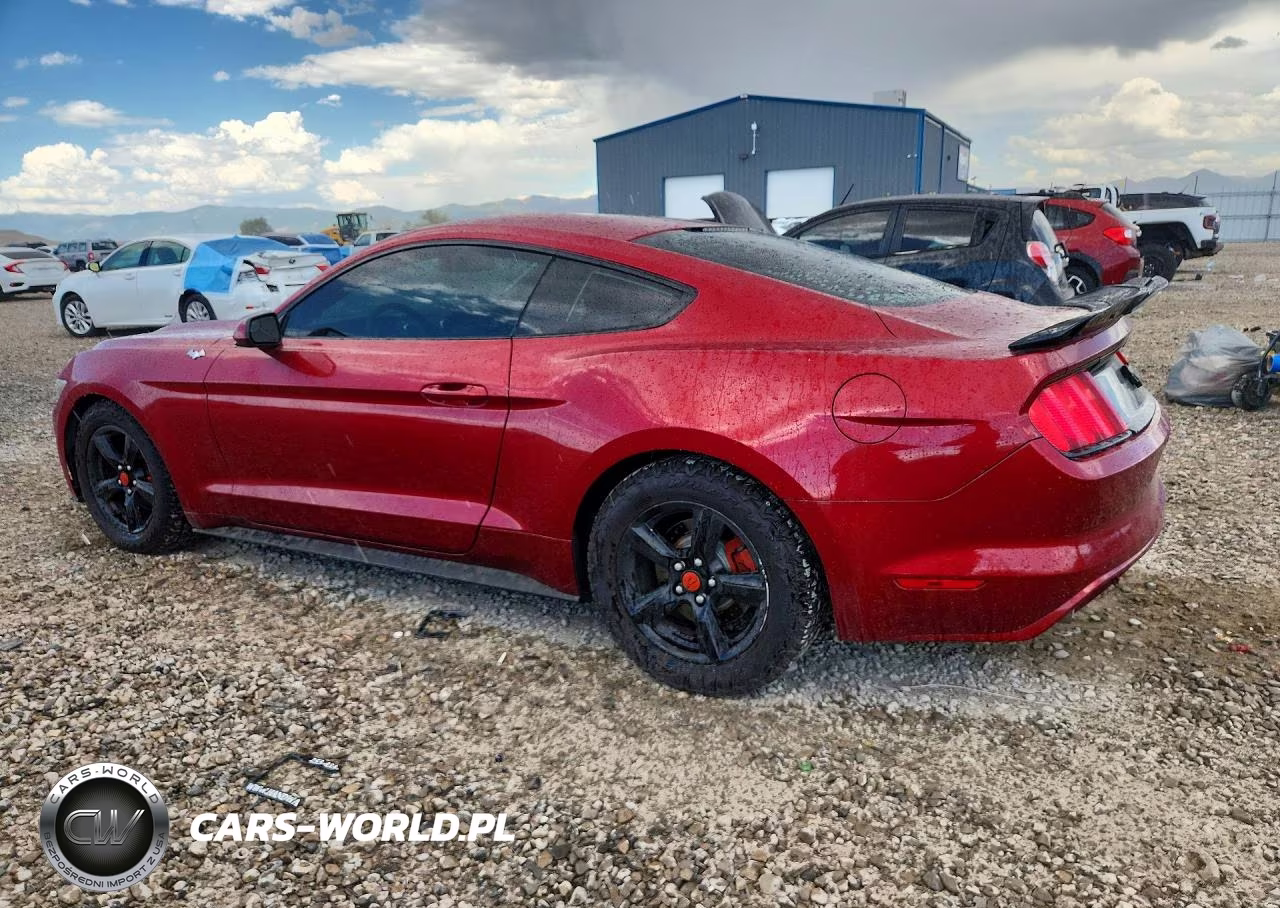 2017 Ford Mustang VIN:1FA6P8AM5H5353537 - 2