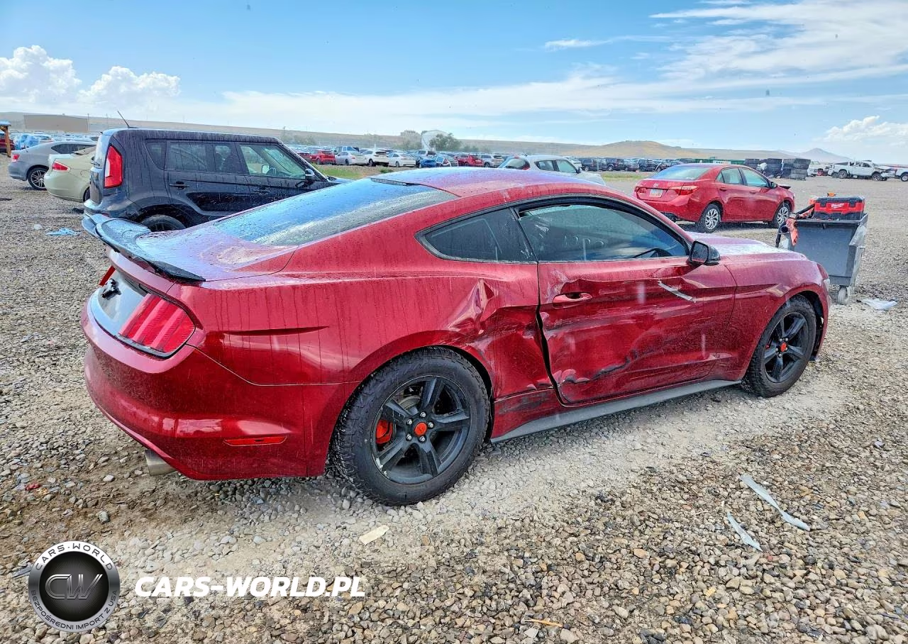2017 Ford Mustang VIN:1FA6P8AM5H5353537 - 3