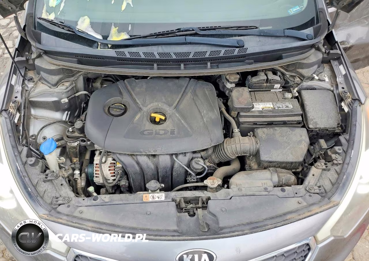 2016 Kia Forte Lx VIN:KNAFK5A86G5648426 - 12