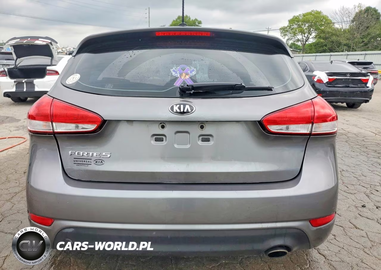 2016 Kia Forte Lx VIN:KNAFK5A86G5648426 - 6