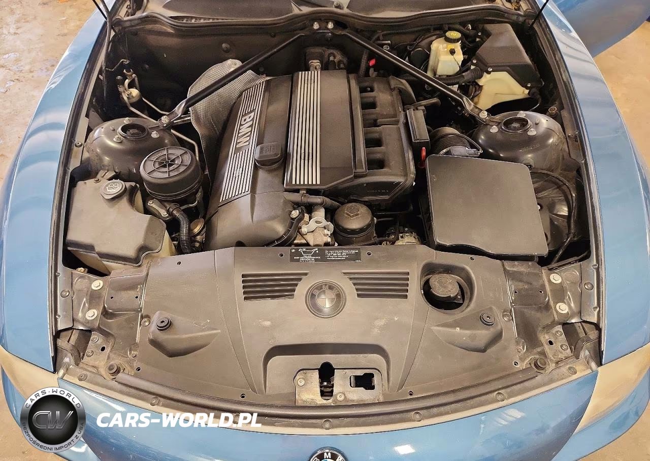 2003 BMW Z4 3.0 VIN:4USBT53463LU03487 - 11