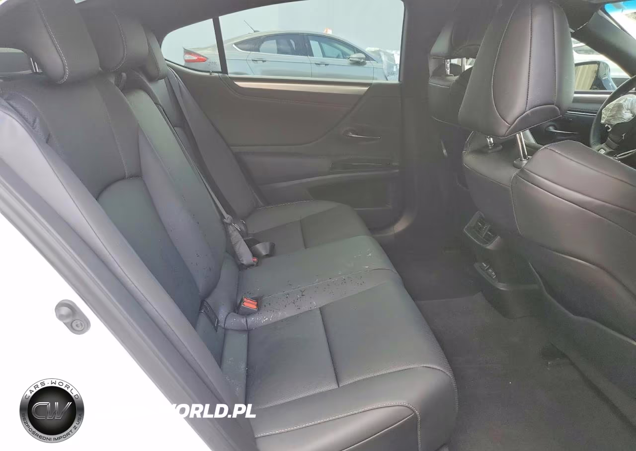 2024 Lexus Es 350 F Sport Handling VIN:58AJZ1B16RU172811 - 10