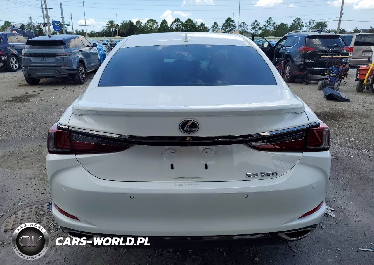 2024 Lexus Es 350 F Sport Handling VIN:58AJZ1B16RU172811 - 6
