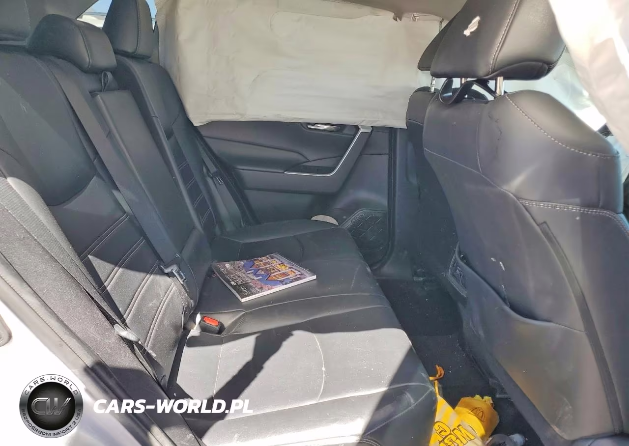 2019 Toyota Rav4 Xle Premium VIN:2T3A1RFVXKW071424 - 10
