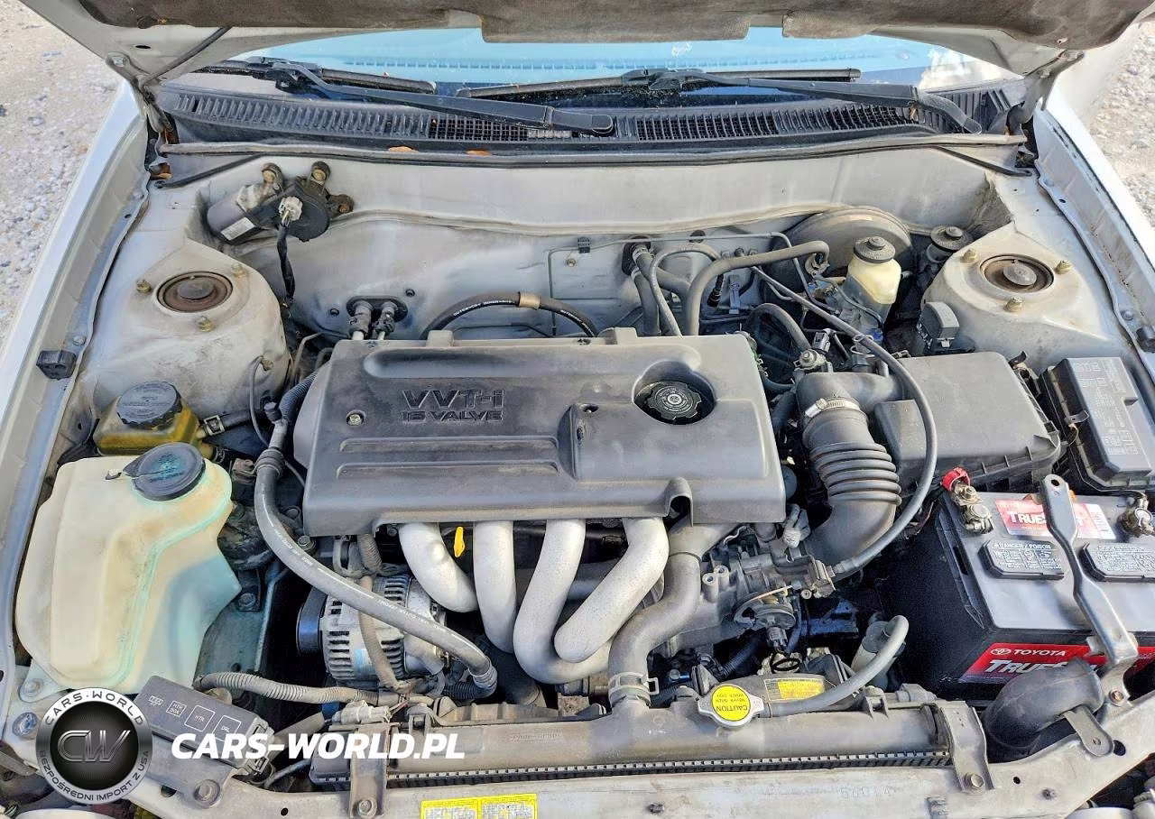 2002 Toyota Corolla Ce VIN:1NXBR12E12Z604449 - 11