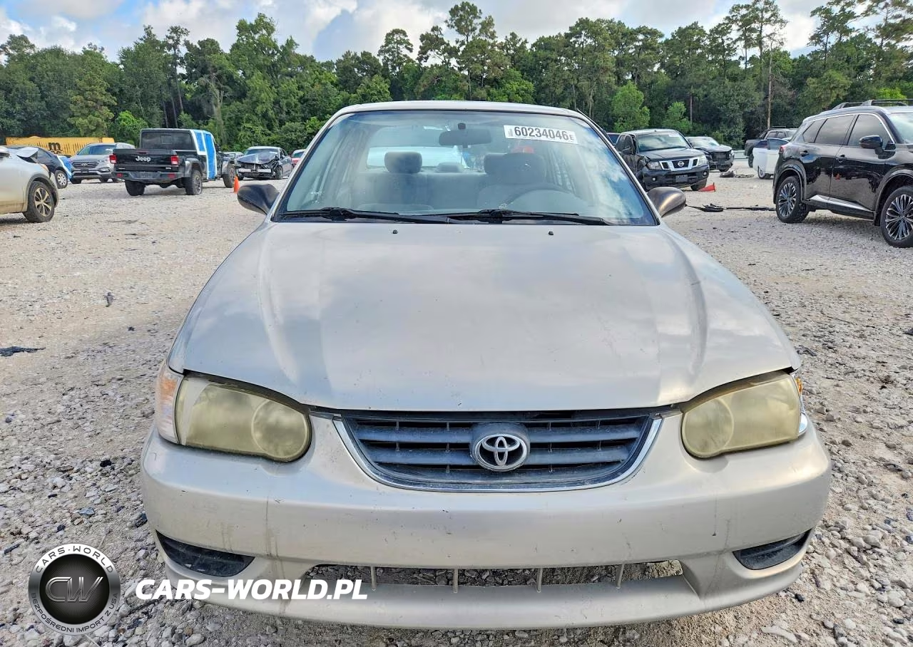 2002 Toyota Corolla Ce VIN:1NXBR12E12Z604449 - 5