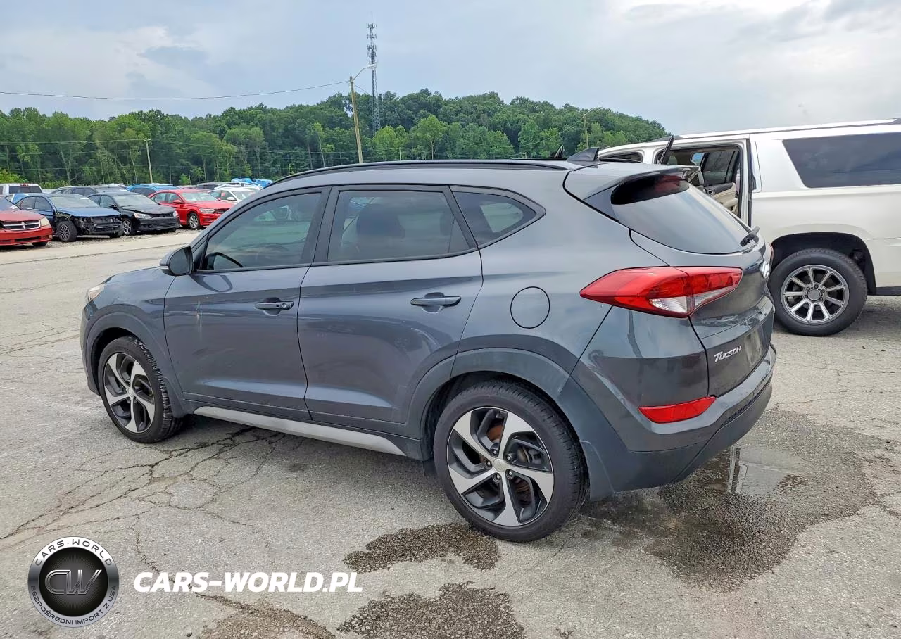 2018 Hyundai Tucson Value VIN:KM8J3CA26JU804712 - 2