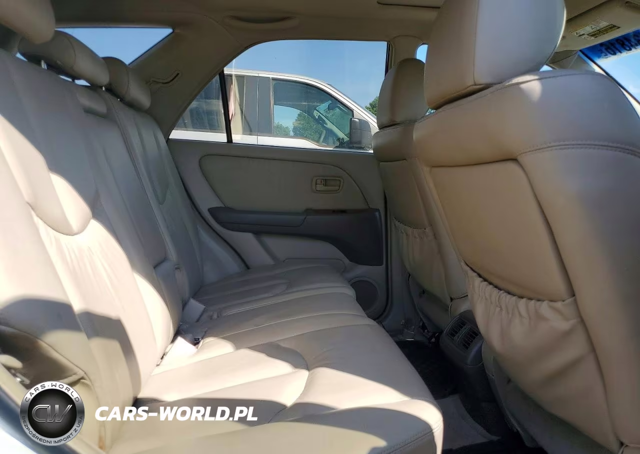 2000 Lexs Rx300 VIN:JT6HF10U6Y0120219 - 10