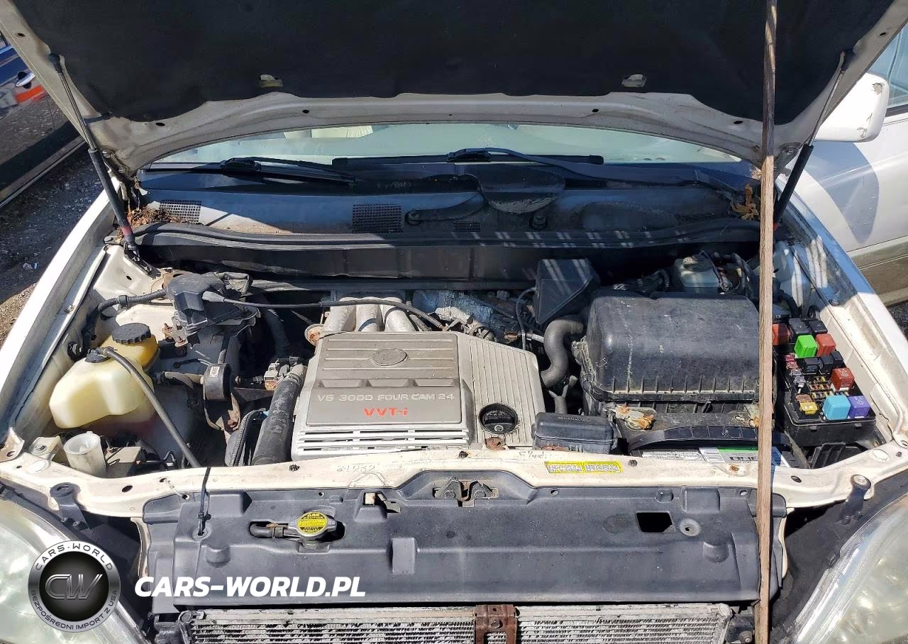 2000 Lexs Rx300 VIN:JT6HF10U6Y0120219 - 11