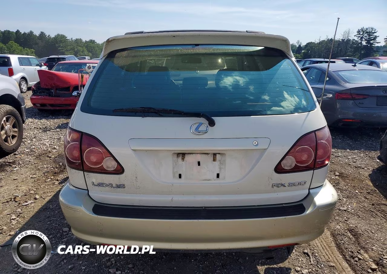 2000 Lexs Rx300 VIN:JT6HF10U6Y0120219 - 6