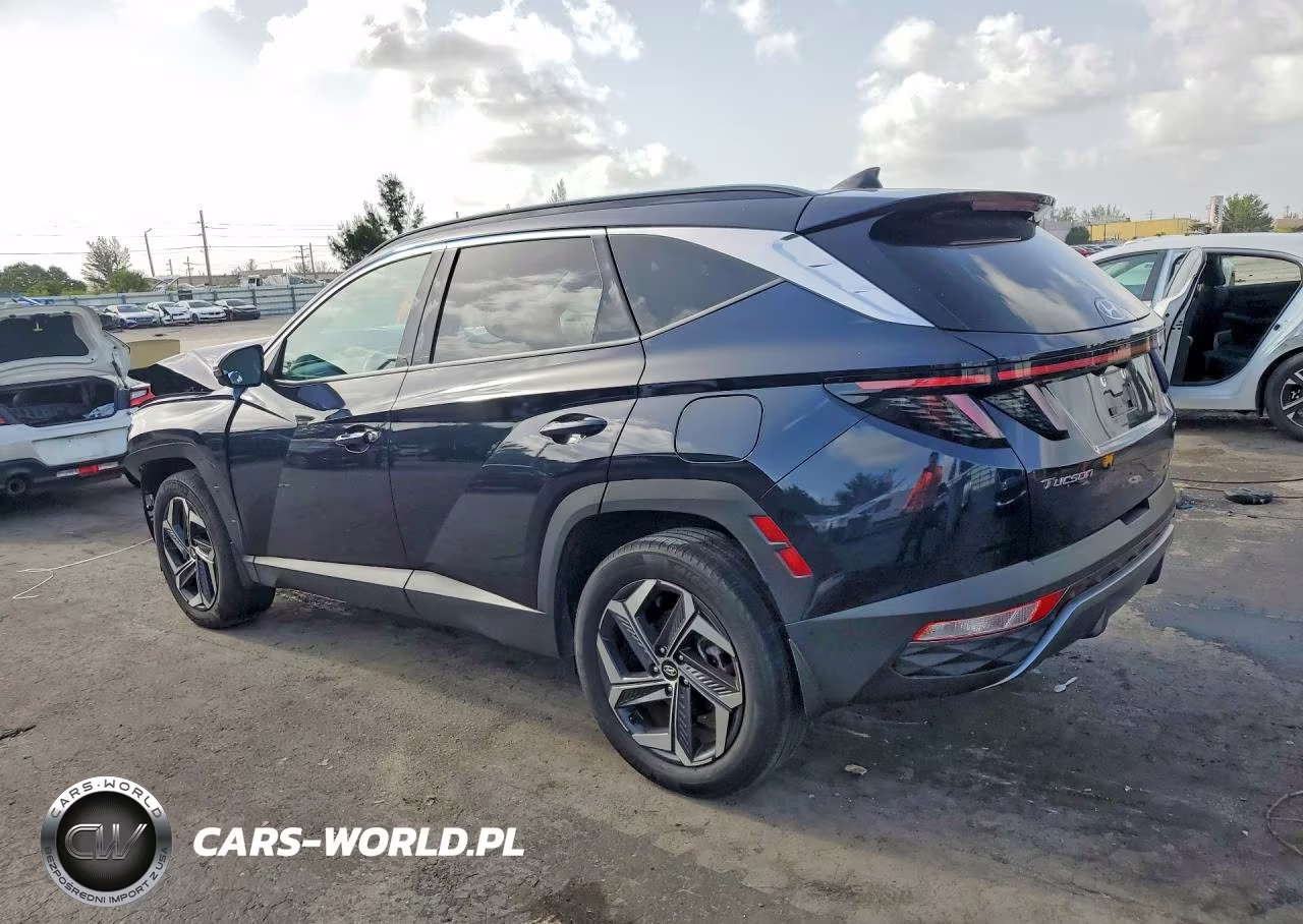2024 Hyundai Tucson Limited VIN:KM8JECD16RU140033 - 2