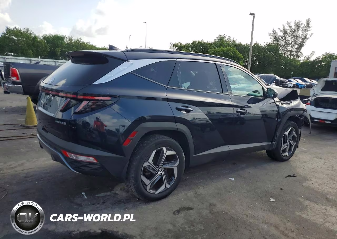 2024 Hyundai Tucson Limited VIN:KM8JECD16RU140033 - 3
