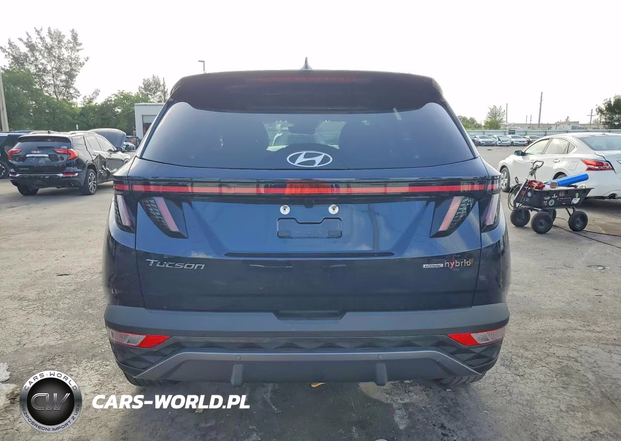 2024 Hyundai Tucson Limited VIN:KM8JECD16RU140033 - 6