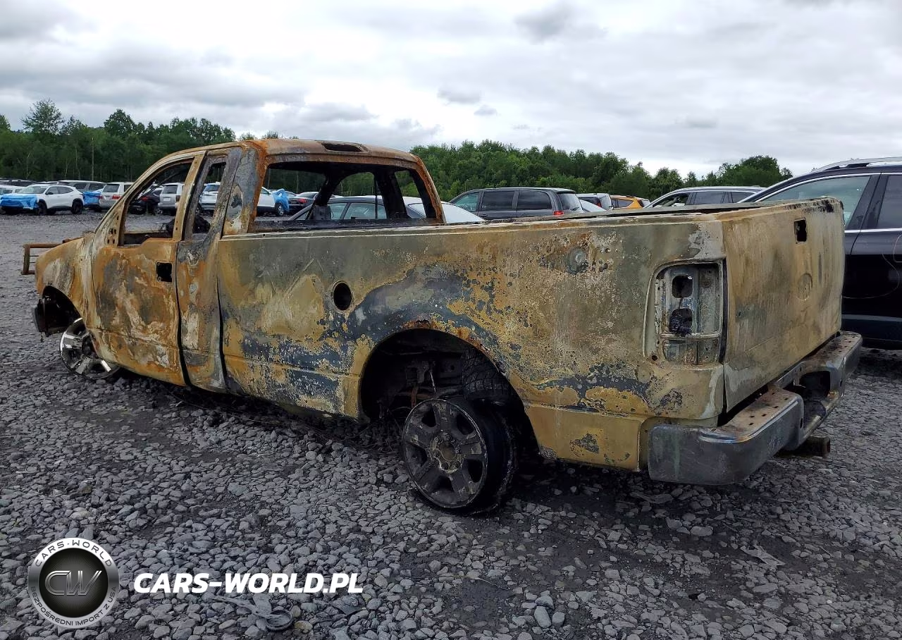 2005 Ford F150 VIN:1FTRF14535KC60454 - 2