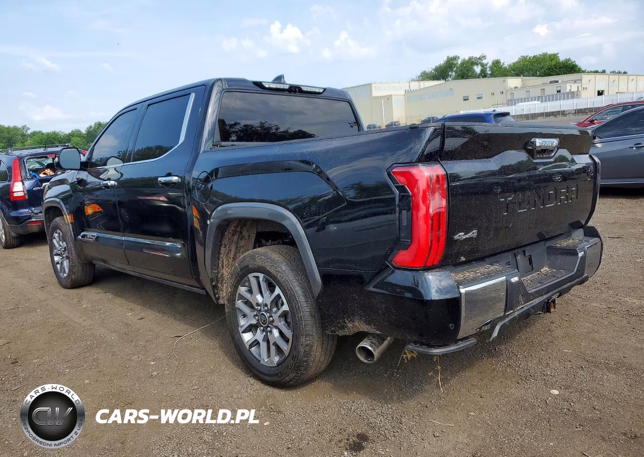 2024 Toyota Tundra 1794 Edition VIN:5TFMA5DB1RX209498 - 2