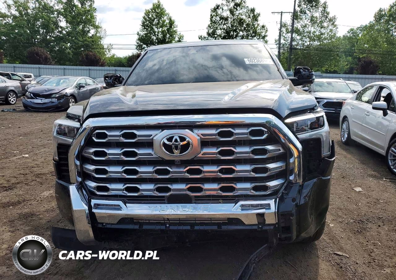 2024 Toyota Tundra 1794 Edition VIN:5TFMA5DB1RX209498 - 5