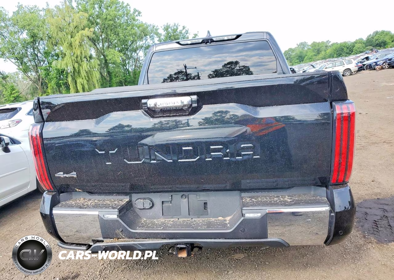 2024 Toyota Tundra 1794 Edition VIN:5TFMA5DB1RX209498 - 6