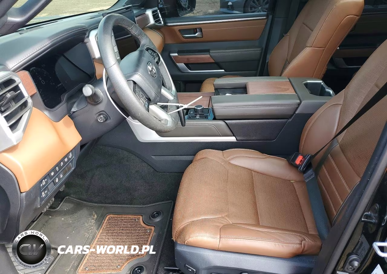 2024 Toyota Tundra 1794 Edition VIN:5TFMA5DB1RX209498 - 7