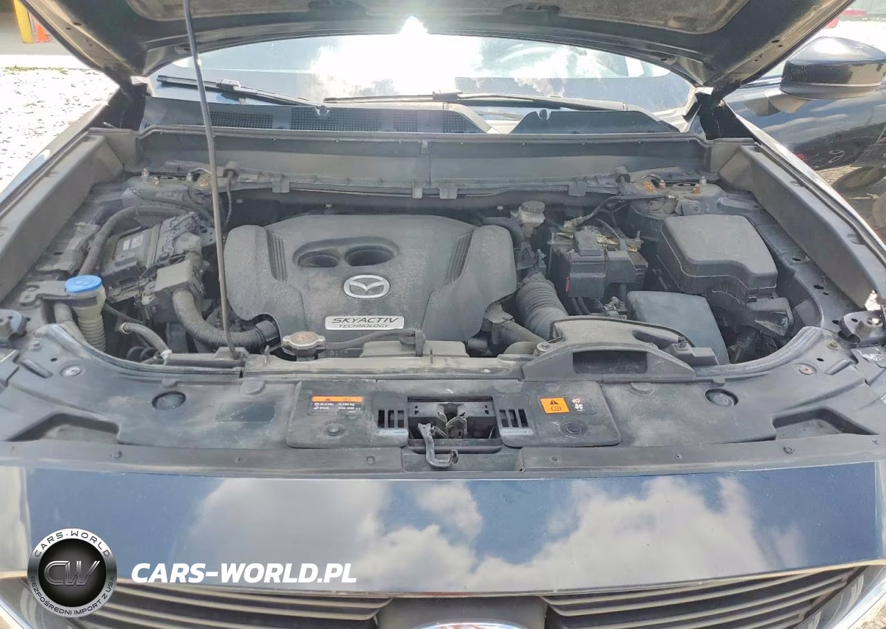 2016 Mazda Cx-9 Touring VIN:JM3TCBBY4G0109985 - 12