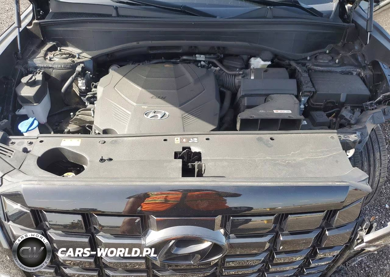 2023 Hyundai Palisade Xrt VIN:KM8R34GE8PU624070 - 12