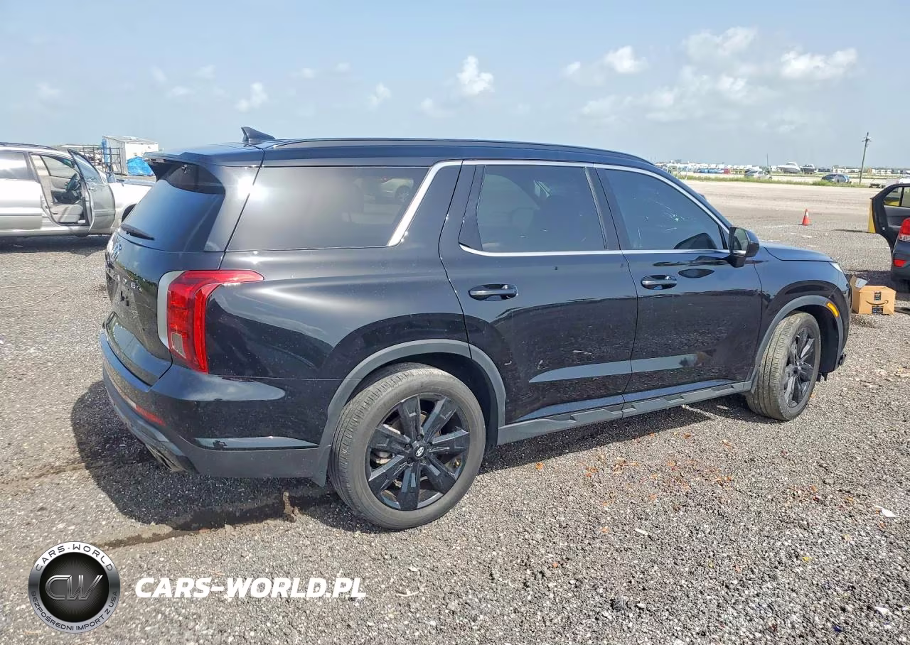 2023 Hyundai Palisade Xrt VIN:KM8R34GE8PU624070 - 3