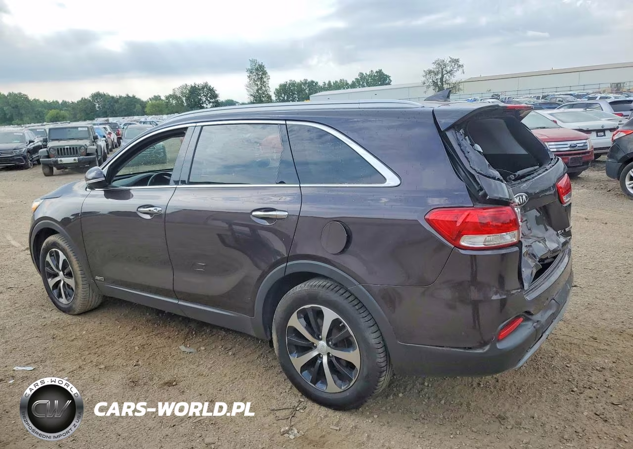 2017 Kia Sorento Ex VIN:5XYPHDA12HG278829 - 2