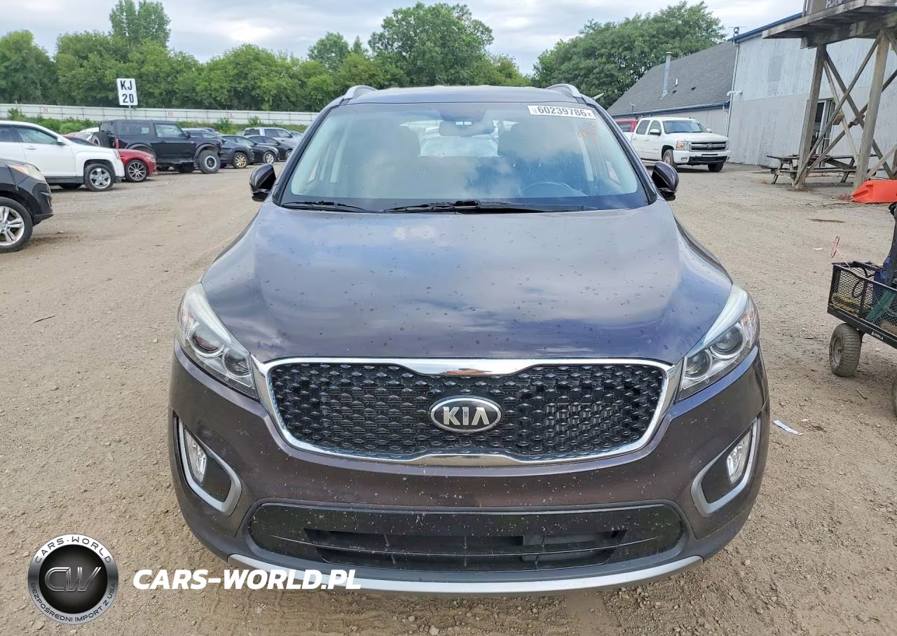2017 Kia Sorento Ex VIN:5XYPHDA12HG278829 - 5