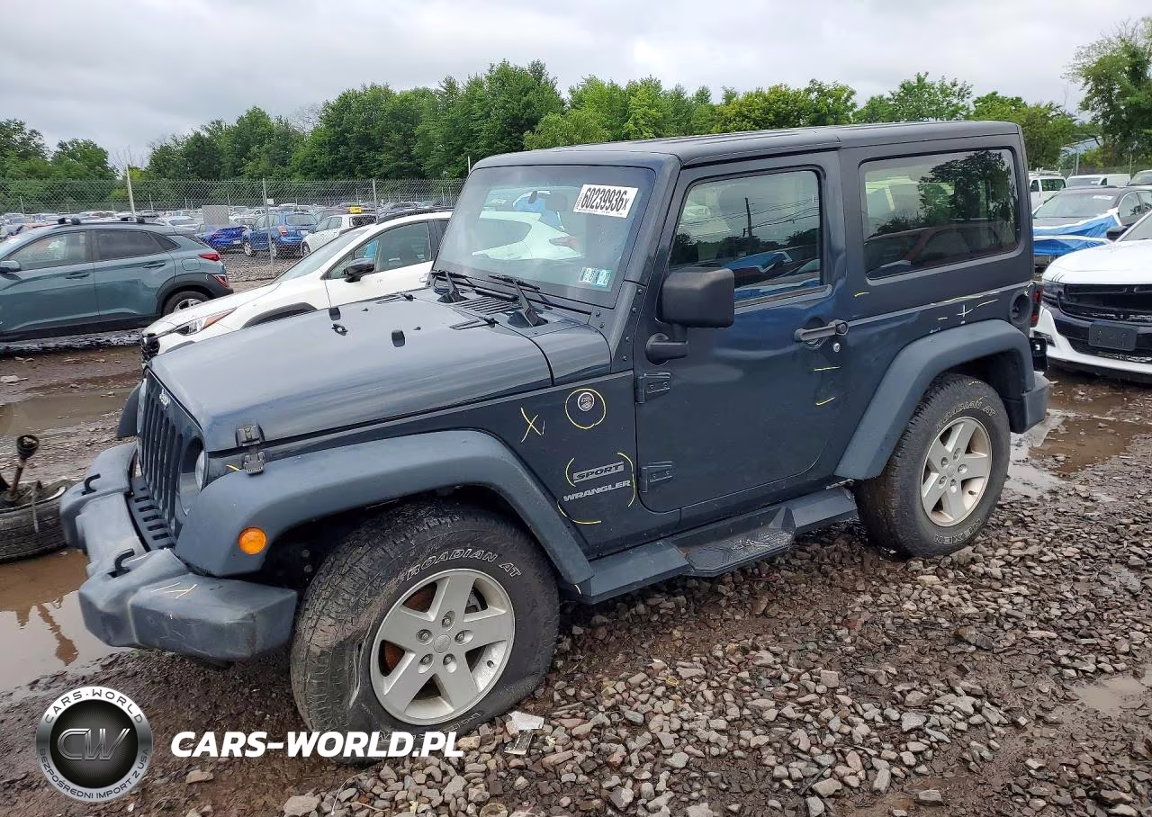 2017 Jeep Wrangler Sport VIN:1C4AJWAG9HL739801 - 1