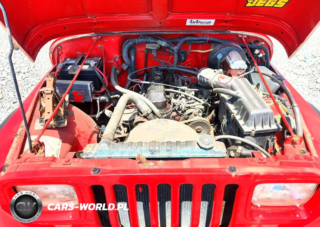 1994 Jeep Wrangler - Yj S VIN:1J4FY19P5RP438312 - 12