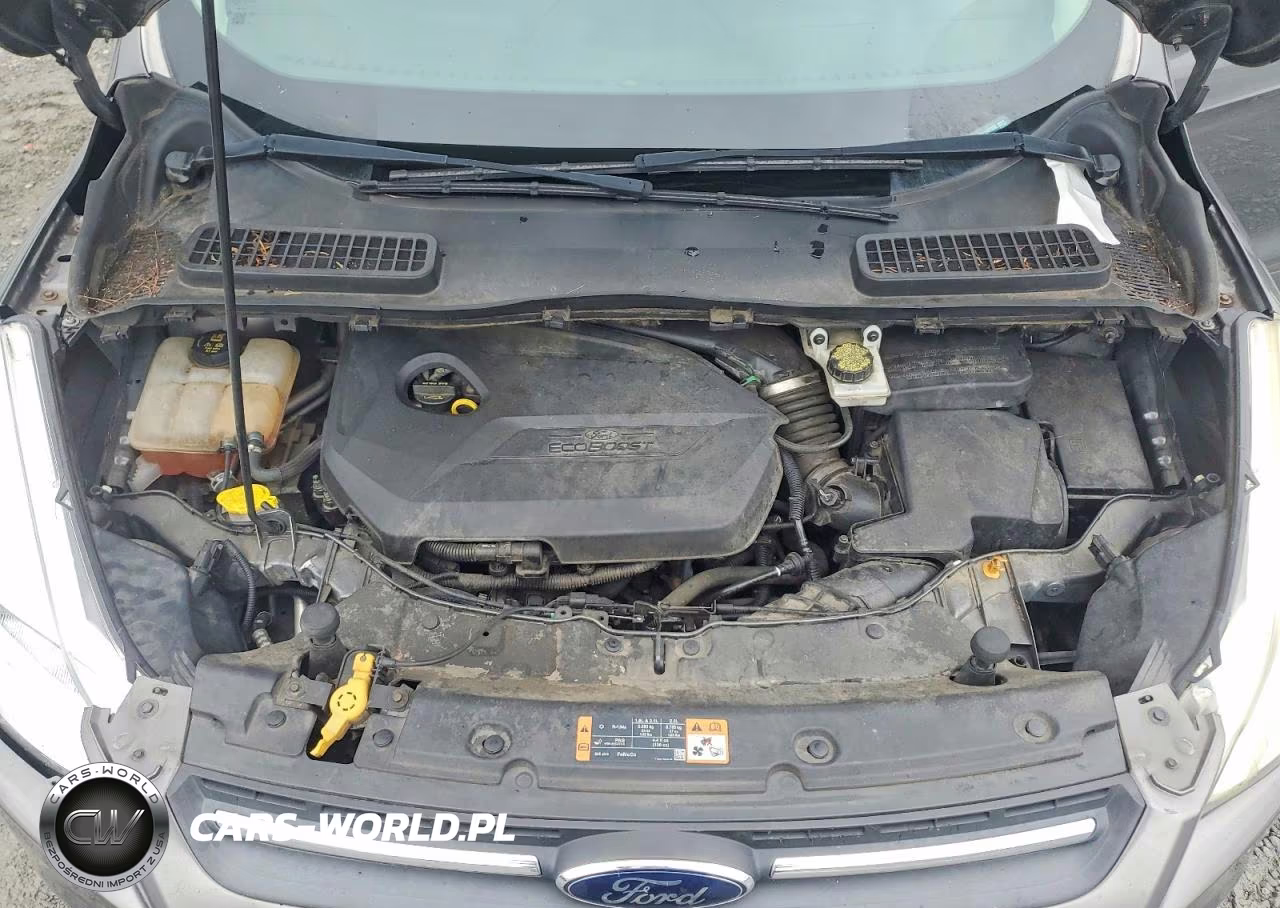 2014 Ford Escape Se VIN:1FMCU0GX0EUE47332 - 12