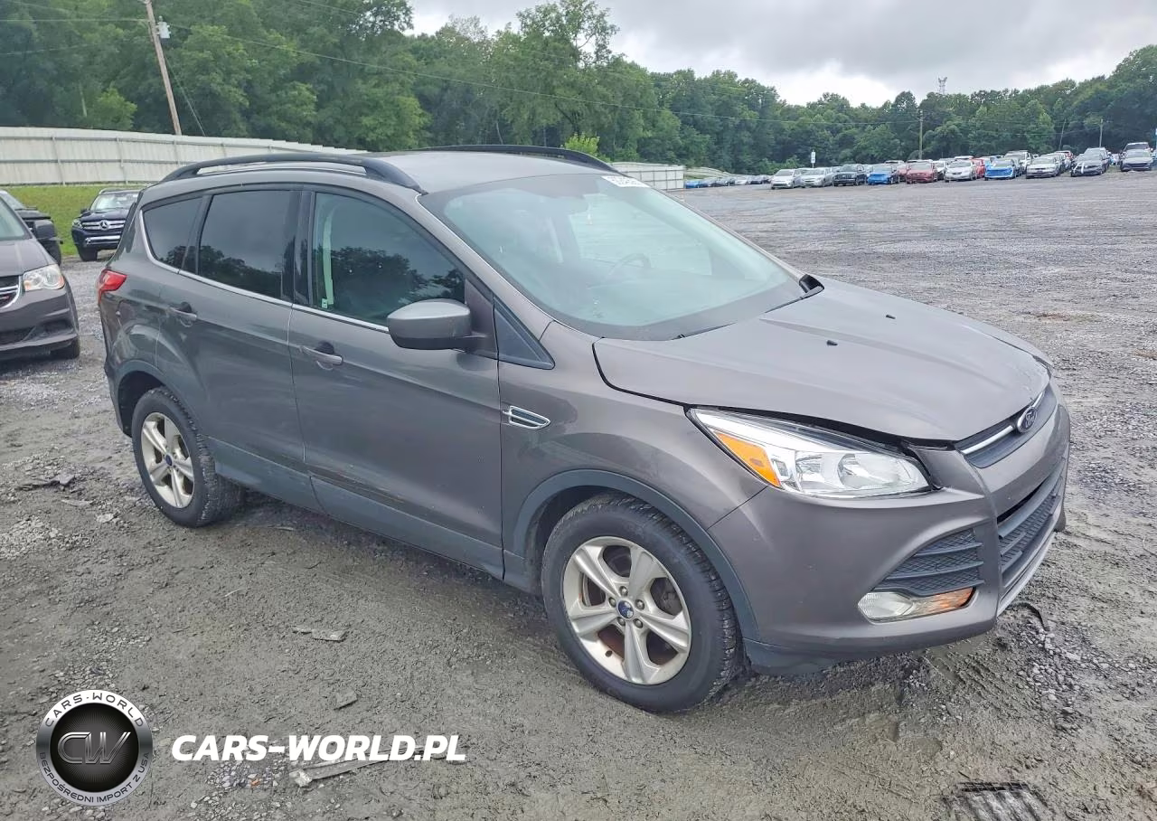 2014 Ford Escape Se VIN:1FMCU0GX0EUE47332 - 4