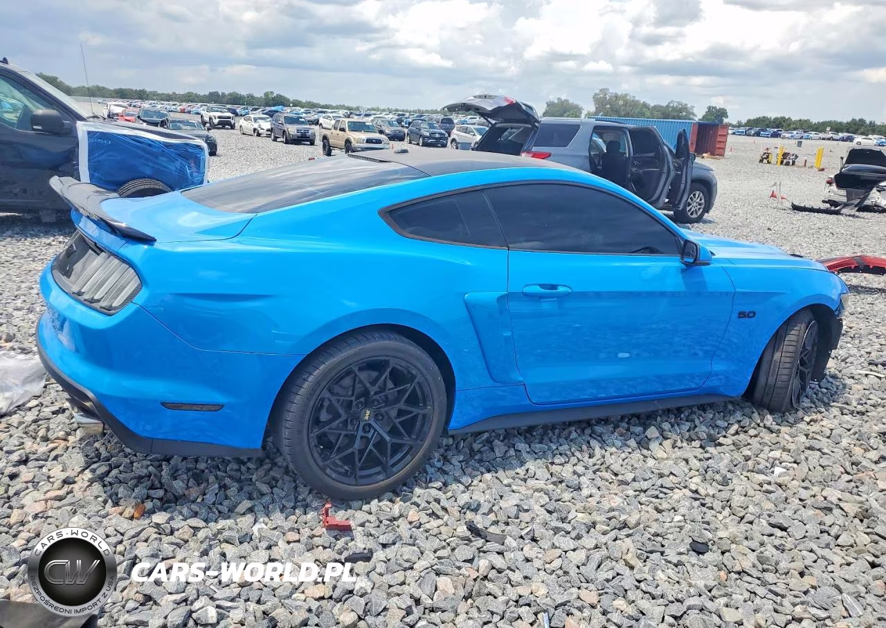 2017 Ford Mustang Gt VIN:1FA6P8CF2H5240711 - 3