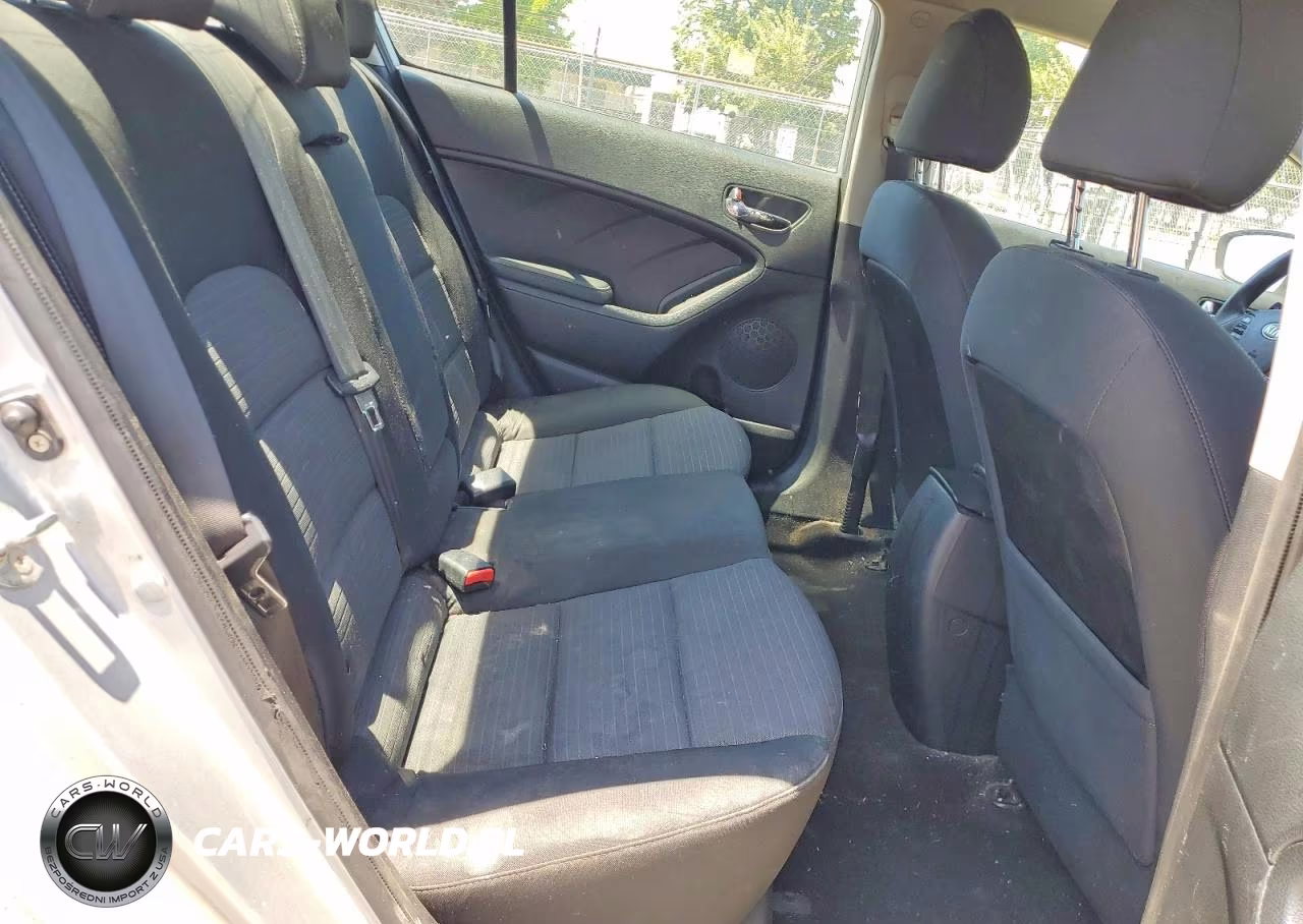 2016 Kia Forte Lx VIN:KNAFX4A6XG5446229 - 10