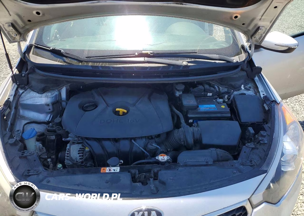 2016 Kia Forte Lx VIN:KNAFX4A6XG5446229 - 11