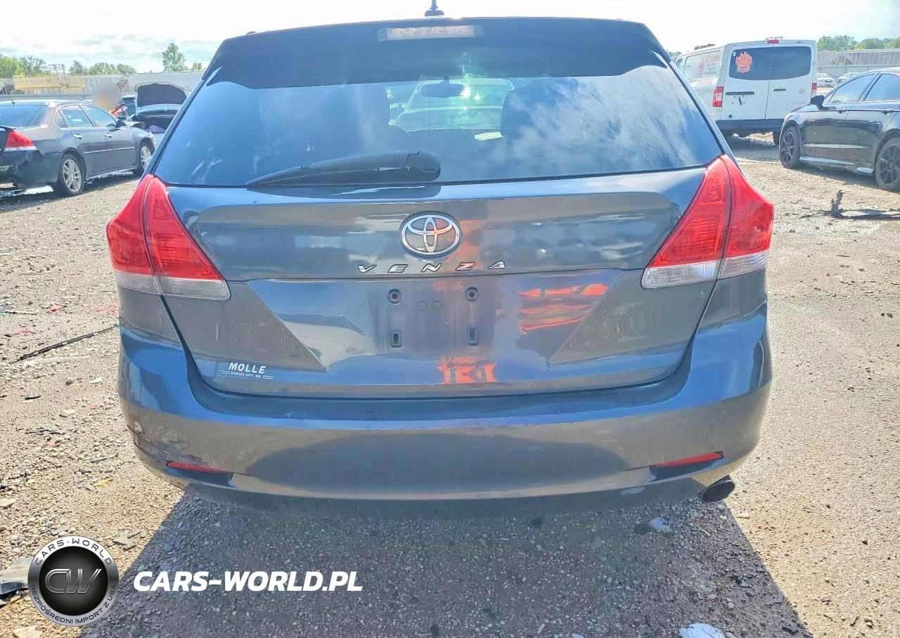 2010 Toyota Venza Fwd 4Cyl VIN:4T3ZA3BB4AU031530 - 6